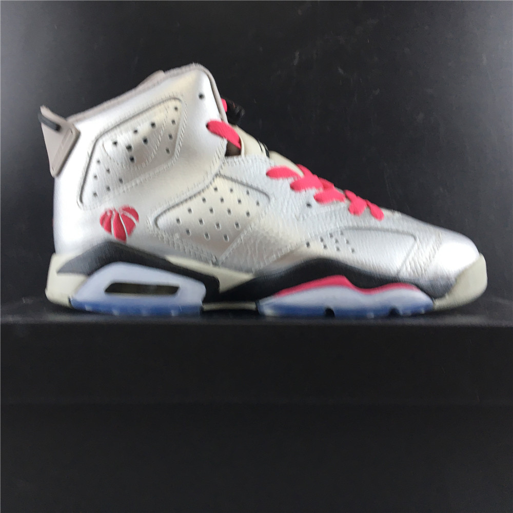 Air Jordan Jordann 6 Retro PS 