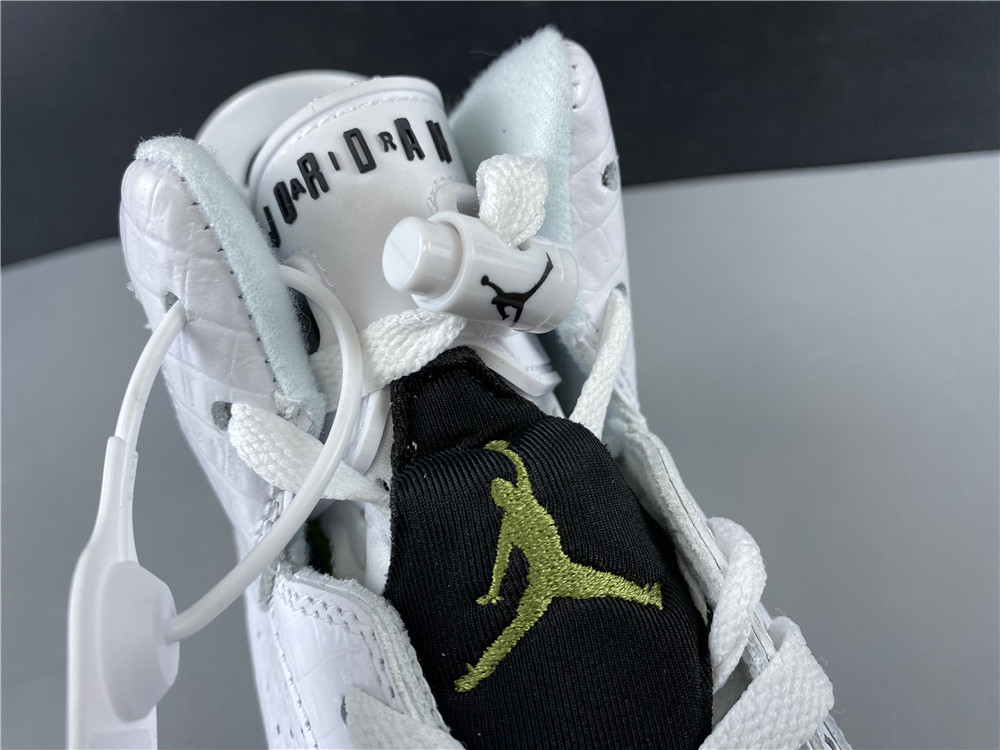 Air Jordan GS Retro Alligator