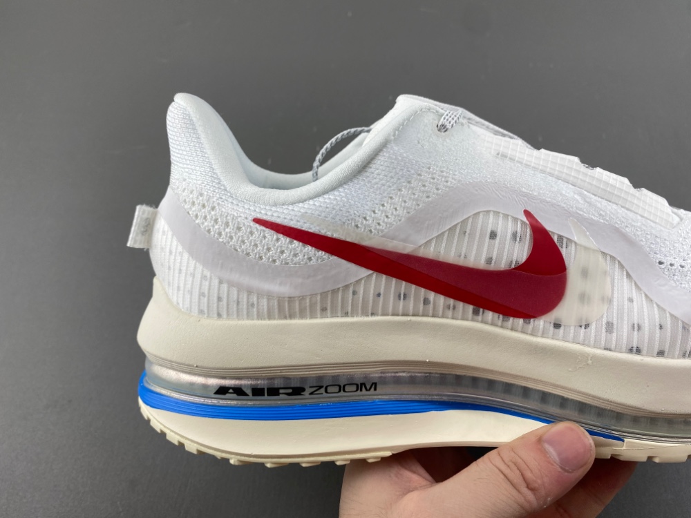 Nike Pegasus Premium