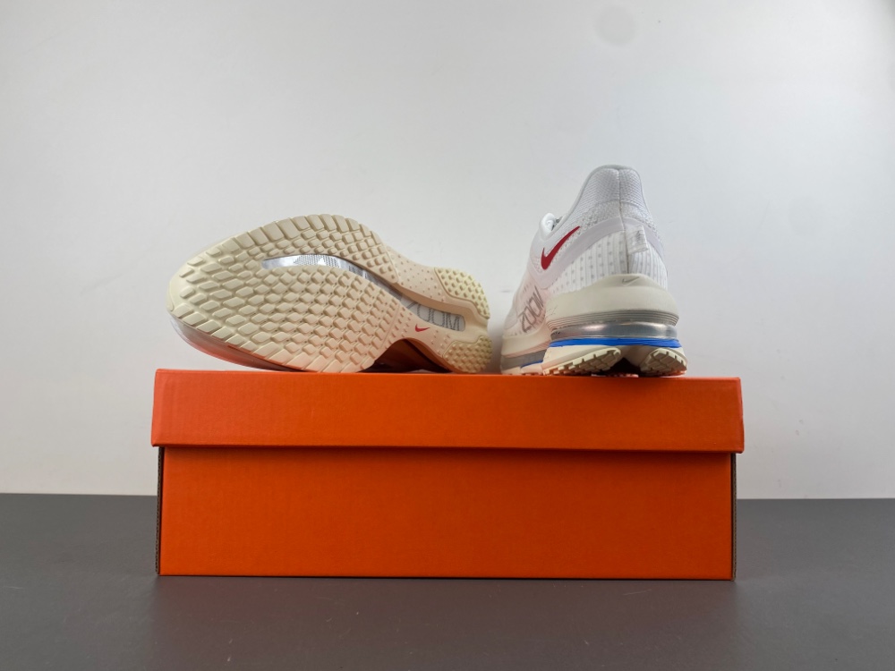 Nike Pegasus Premium